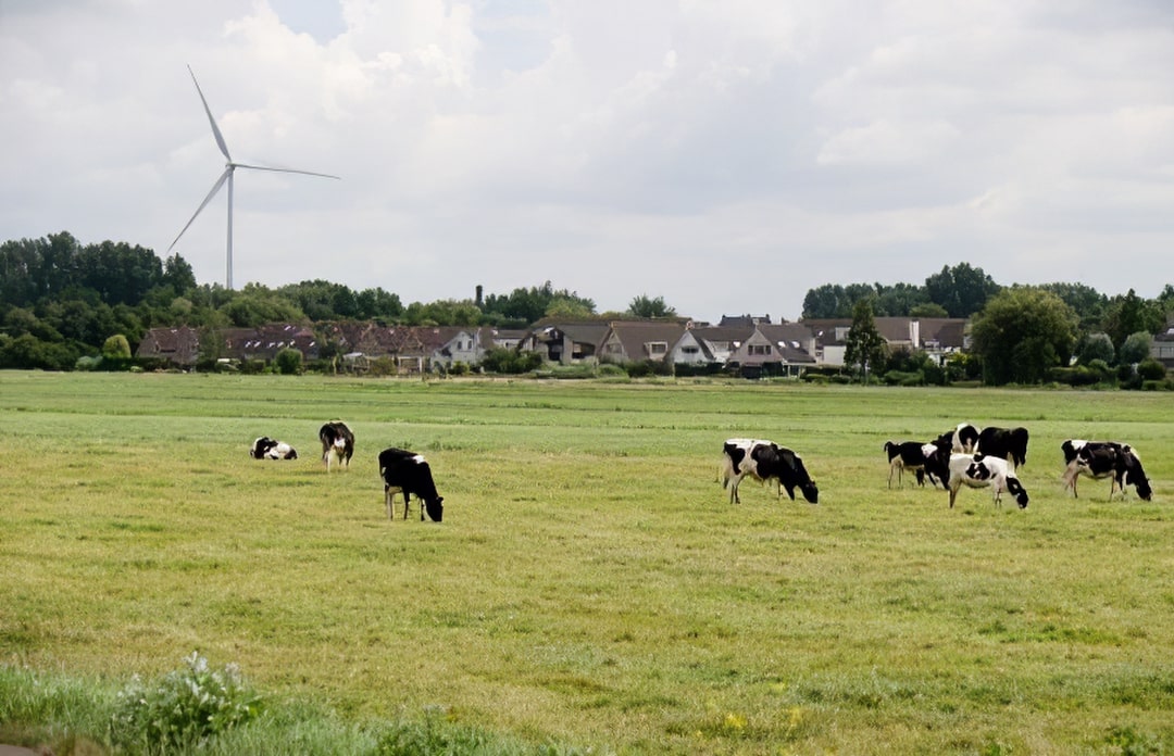 "Pepperflow geeft ons een hoop overzicht en inzicht in onze P&C-cyclus" 