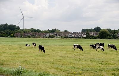 "Pepperflow geeft ons een hoop overzicht en inzicht in onze P&C-cyclus"